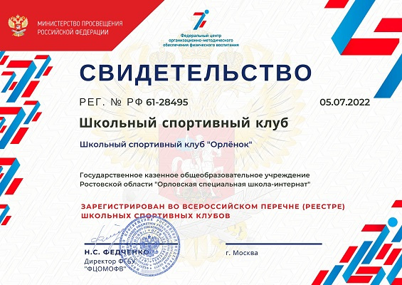 Школьный спортивный клуб